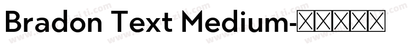 Bradon Text Medium字体转换